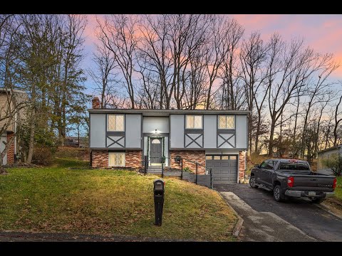 1 Lou Anne Ln, Delmont, PA home video tour