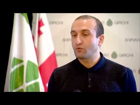 იაგო ხვიჩიას რეკომენდაციები ხელისუფლებას