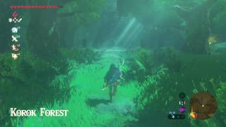 The Legend of Zelda: Breath of the Wild - How to get through the Lost Woods (Guide - SPOILERS)