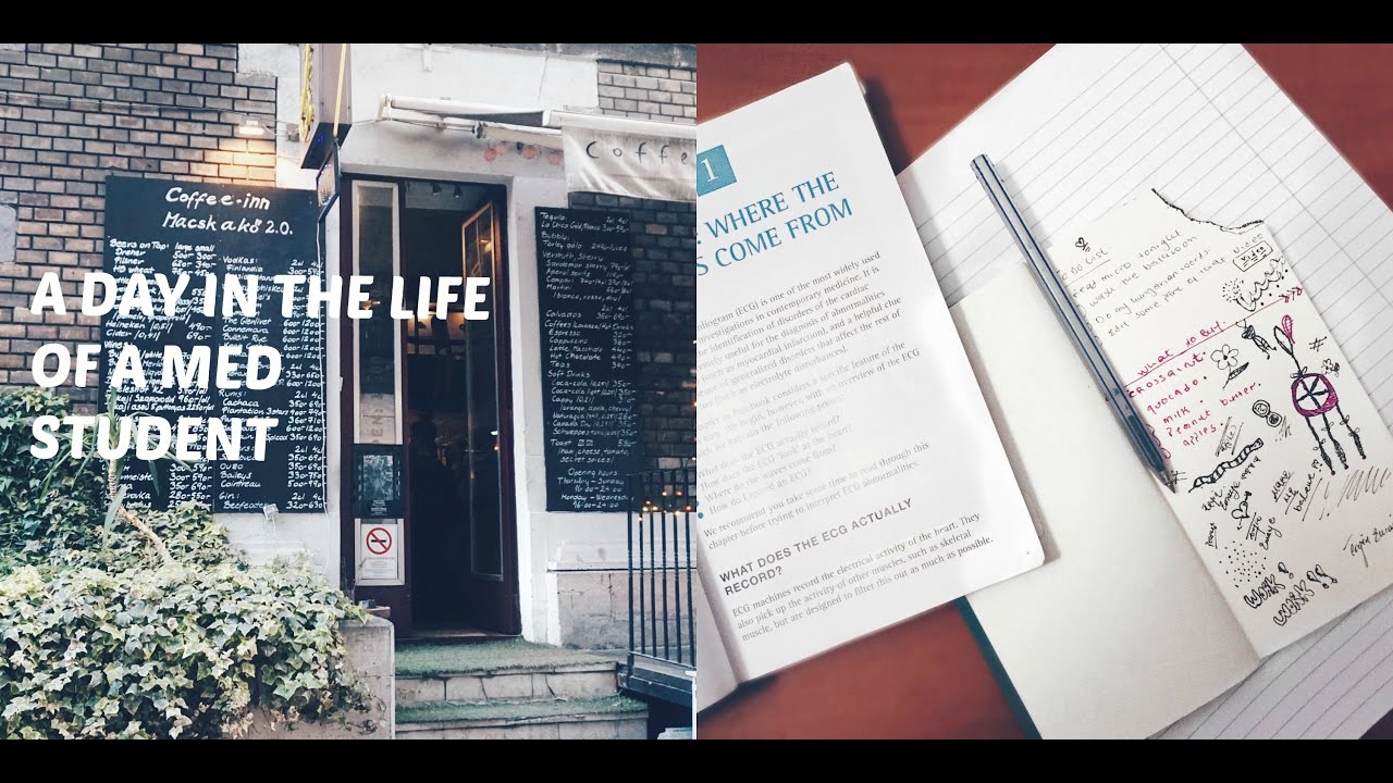 A day in the life of a Medical student // MY MED SCHOOL LIFE VLOG 3 ...