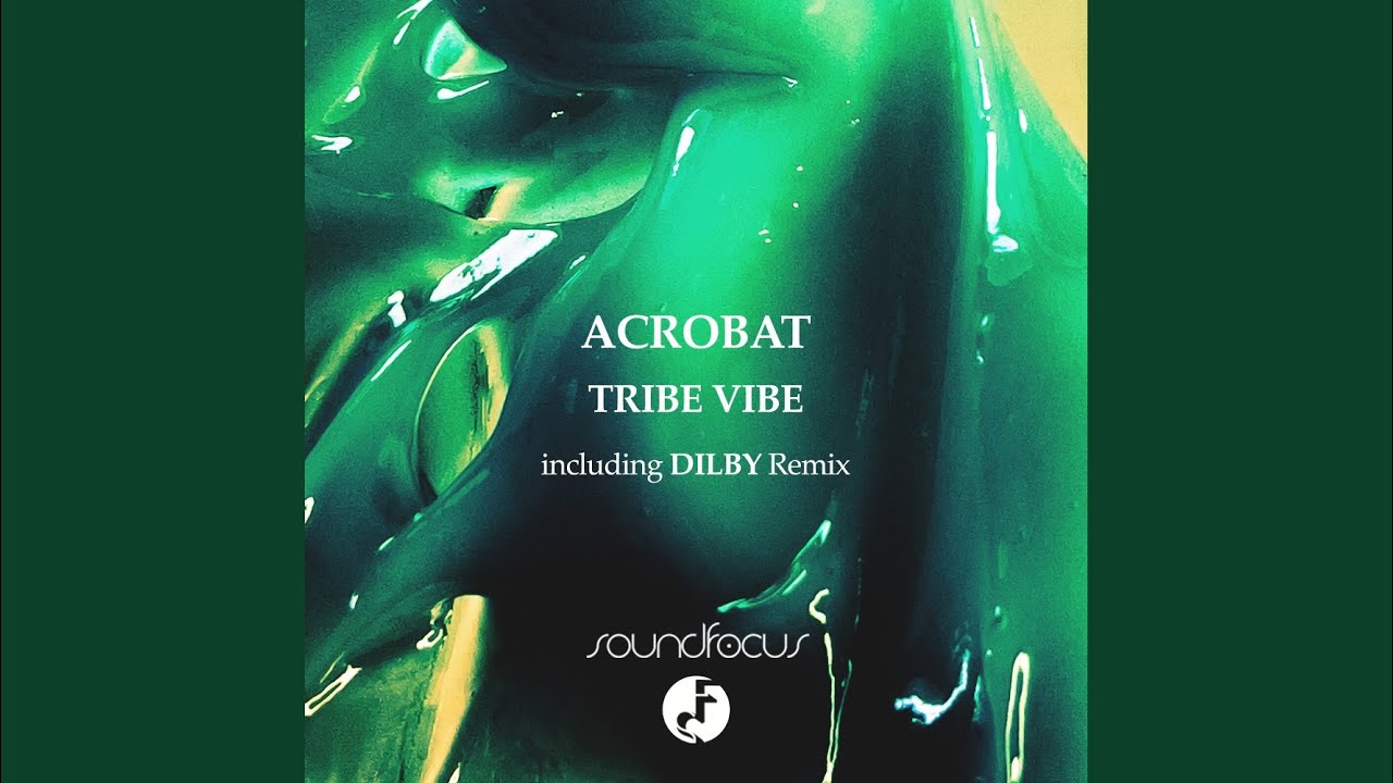 『 VIBES FROM THE TRIBE VOL. II』VARIOUS Vibe Tribe - In The Mix Vol.2 ☆FREE DOWNLOAD☆ - YouTube