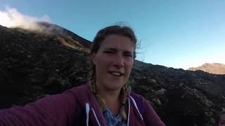 New Zealand Road Trip