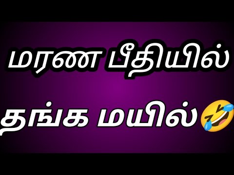 🛑மரண பீதியில் தங்கமயில்🛑 p.a.n.d.i.a.n s.t.o.r.e.s s e r.i.a.l t.o.d.a
