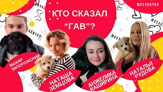 Кто сказал «Гав»? РУДОВА, ЗЕМЦОВА, КАШИРИНА, ЗАПОРОЖСКИЙ. О важности питомцев в своей жизни