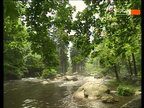 An der Bode wilden Klippen 1/2 (mdr)