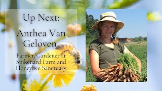 Creating A Honeybee Sanctuary By Anthea Van Geloven