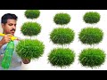 easy garden Hanging Balls /grass ball making / hanging plants ideas / gardening ideas at home