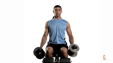 Seated Alternate Hammer Curl