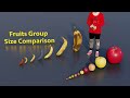 Fruit groups size comparison  3d animation