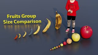 Fruit Groups Size Comparison | 3D Animation