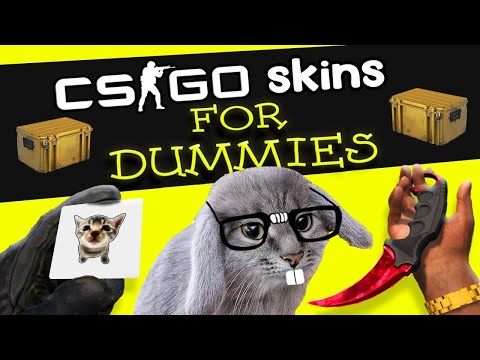 CS:GO Skins For Dummies