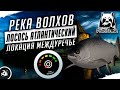 Русская Рыбака 4 — Лосось атлантический на реке Волхов