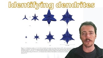 Using phase-field simulations to train deep learning models to identify dendritic microstructures