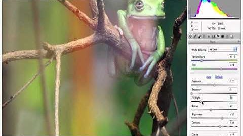 ACP Videos Photoshop CS5  Noise Reduction