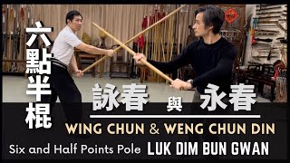 嶺南少林拳系 詠春及永春-六點半棍Southern Shaolin Wing Chun & Weng Chun Six and Half Points Pole (Luk Dim Bun Gwan)