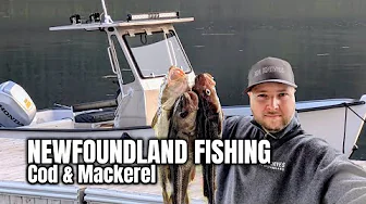 Boating & Fishing for Cod and Mackerel in Newfoundland! | 2025