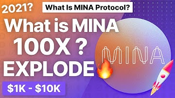 What is MINA Protocol? Will MINA 100X? 30? Decentralized? $1K - $10K? Pt 2