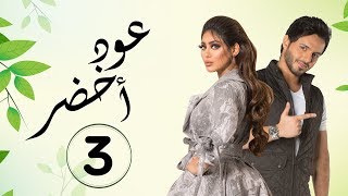 مسلسل عود أخضر HD - الحلقة الثالثه - بطولة شيلاء سبت و جاسم النبهان و بدر آل زيدان