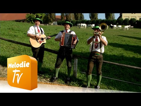 Schneiderwirt Trio -