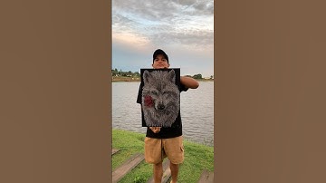 me ajudem a demostrar o contrário para eles 🔥 #artist #stringart #arte