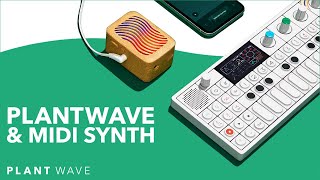 Using PlantWave with a MIDI Synthesizer - Make Plant Music