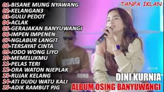 BISANE MUNG NYAWANG   DINI KURNIA  DANGDUT KOPLO TERBARU 2025  FULL ALBUM LAGU JAWA VIRAL DELES KOPL