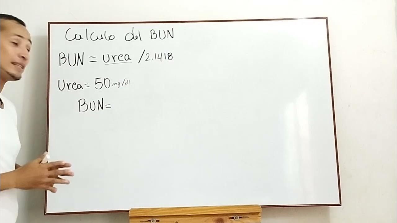 C lculo del bun youtube