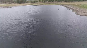 Faster, safer, easier - UQ pushes water monitoring boundaries with robotics, IoT