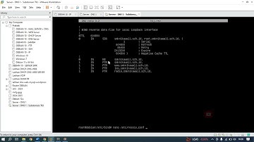 Merubah Domain & Subdomain - DNS Pada Debian 10