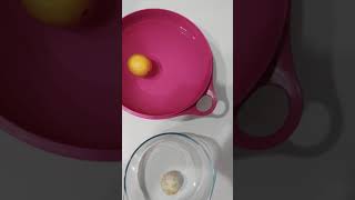 Can Yeleği Giymiş 🍋 Limon 🍋 Deneyi Resimi