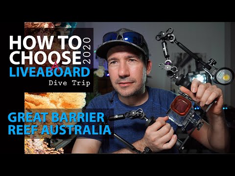Video: Waktu Terbaik untuk Mengunjungi Great Barrier Reef