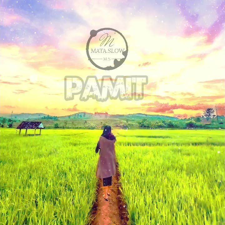 PAMIT- lirik lagu untuk WA Terbaru