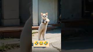 बलल ठमक लगBillo Thumka Laga