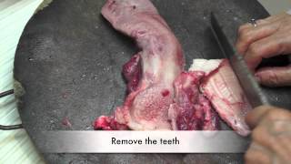 How to clean a Pig's Tongue for cooking