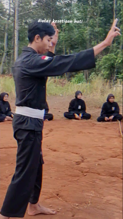 Story wa pembukaan psht sambung PSHT #psht #sambung #storywa