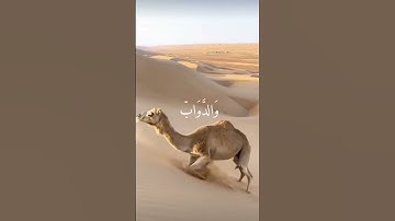 ياسر الدوسري| سورة الحج{ألم ترَ أنَ الله يسجد لهُ}