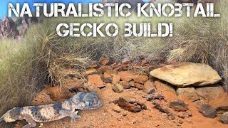 A New NATURALISTIC Habitat For My Nephrurus Cinctus  Northern Banded Knobtail Gecko Vivarium