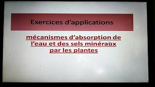 exercices: mécanismes d'absorption de l'eau et des sels minéraux chez la plante