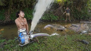 Wild Fishing, Fishing Hunting Use A Large Capacity Pump Catch Many Catfish In The Mud Puddle