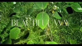 August Alsina- Beautiful Way (Fan Visual)