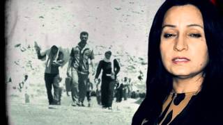 Kobane Haware Derweşo