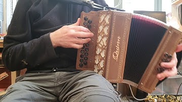 Quinn Accordion