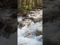 Северный Байкал, горная река , рыбалка . #shorts#рыбалка#fishing#