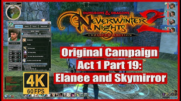 Neverwinter Nights 2 Enhanced Edition Original Campaign Act 1 Part 19 Elanee and Skymirror