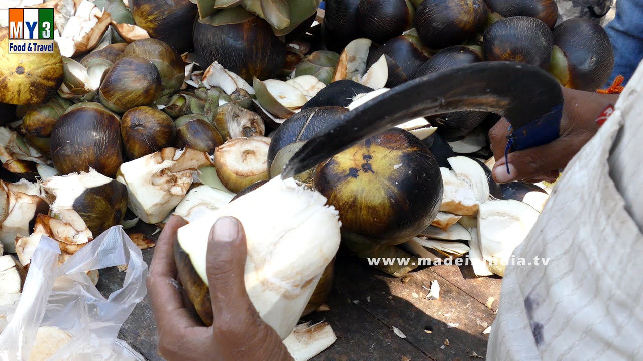 Borasus Flabellifer  | TAATI MUNJALU | Palmyra Palm | HEALTHY STREET FOOD street food