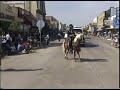 Wally Gonzalez  - En El Desfile De McAlle, Texas