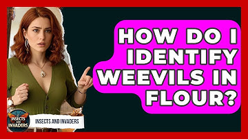 How Do I Identify Weevils In Flour? - Insects and Invaders