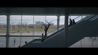 2023 Sustainability | Tree | Cisco