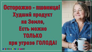 Осторожно - пшеница! Худший продукт на земле, ее употребление оправдано только при угрозе голода