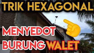 Suara Hexagonal Walet dan Cara Pasang Hexagonal Walet agar Burung Walet Mampir Ke RBW kita